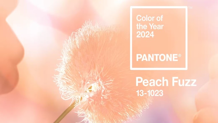 Peach Fuzz | Pantone ha scelto il colore del 2024